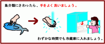 魚介類をさわったら、手をよく洗いましょう