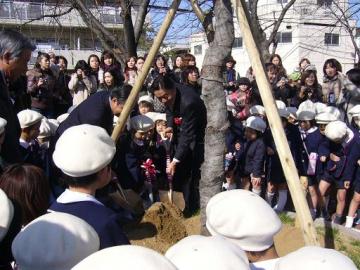 金岡公園　桜の植樹式東大阪ロータリークラブより寄贈の写真