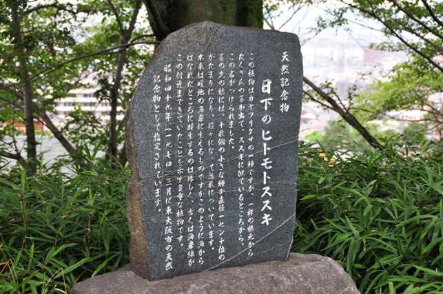 ヒトモトススキの石碑の写真