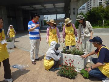 緑化ボランティア　花の植え替え作業の写真
