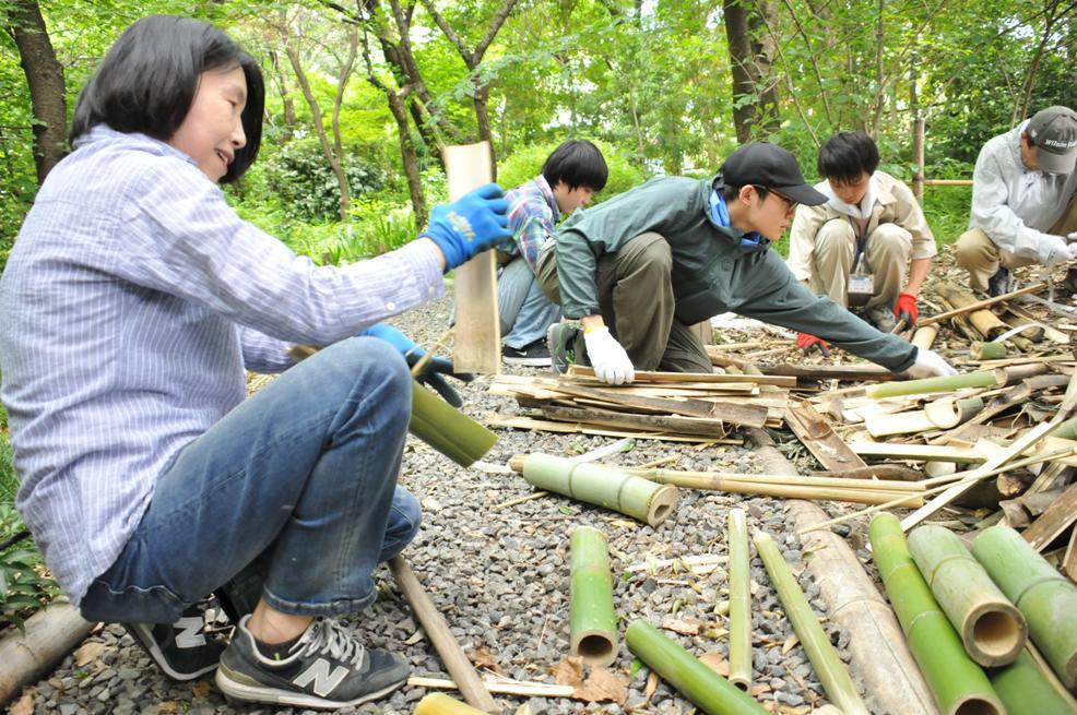 竹の整理の写真