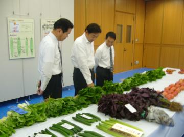 農産物品評会の写真