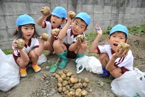 大地の恵み　さわって感じよう　園児らがじゃがいも掘り