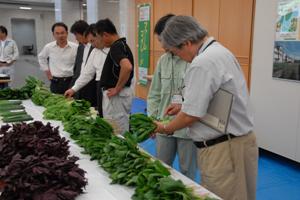 地元農家自慢の野菜がズラリ！