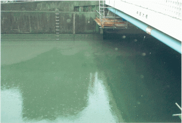 雨天時に高井田ポンプ場から平野川分水路へ放流される下水