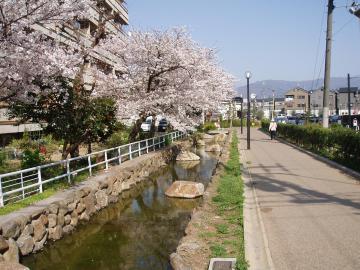 水の郷　鴻池の写真1