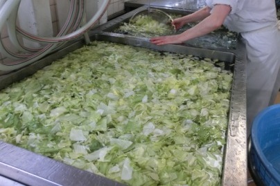野菜を洗っている写真