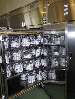 食器消毒保管庫の写真