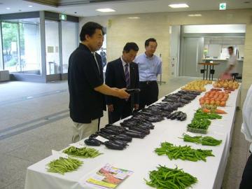 第43回農産物品評会【展示野菜の部】の写真