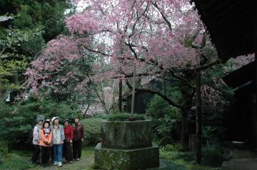 興法寺2の写真