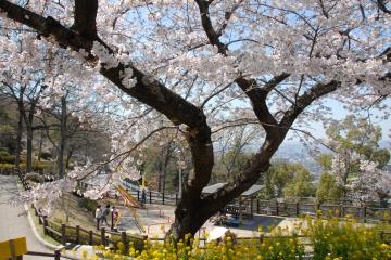 枚岡公園の写真