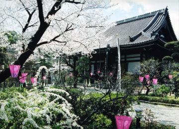 長栄寺の写真二つ目