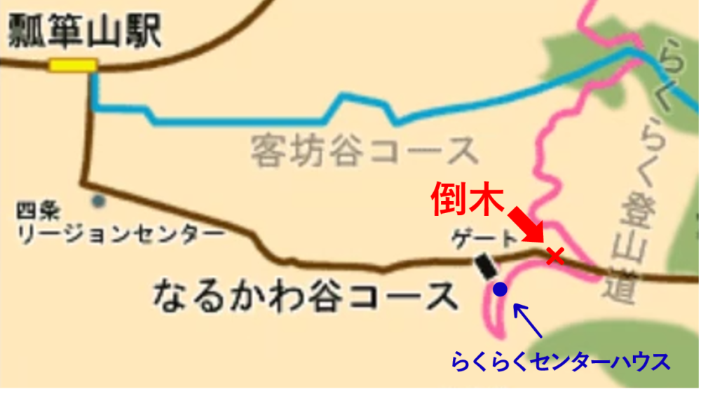 倒木の場所