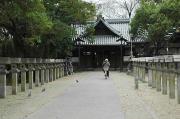 鴨高田神社(かもたかたじんじゃ)の写真