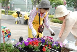 花とみどりいっぱいに会が植え替えを行っている写真