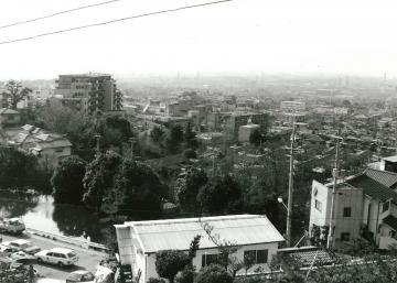 天ノ池より枚岡市営桂側住宅を望む（東石切町6）写真