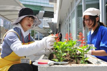 花とみどりいっぱいに会の写真