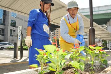 花とみどりいっぱいに会の写真