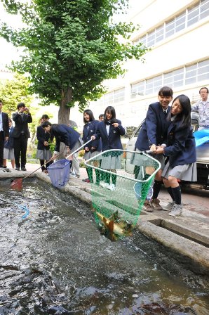 鯉をトラックに入れる写真