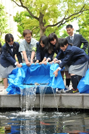 鯉を放流している写真