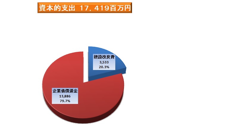 資本的支出17419百万円となりました。