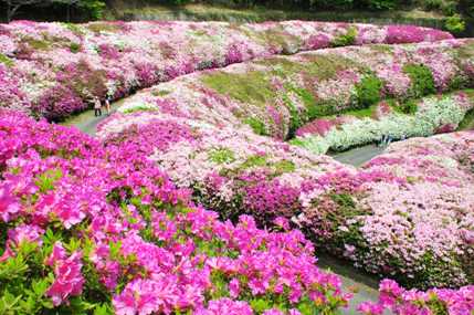 かわ 府民 なる の 園地 森