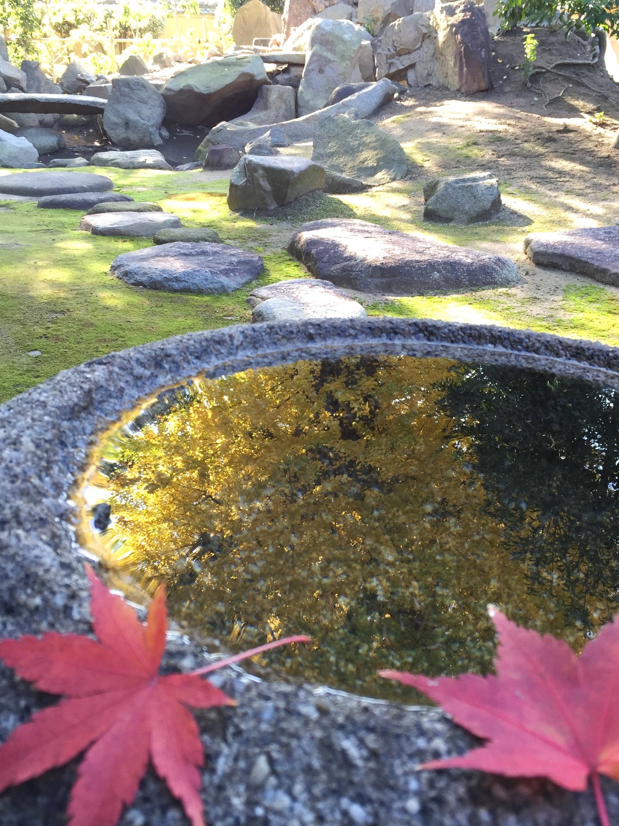 生駒山の紅葉の写真2
