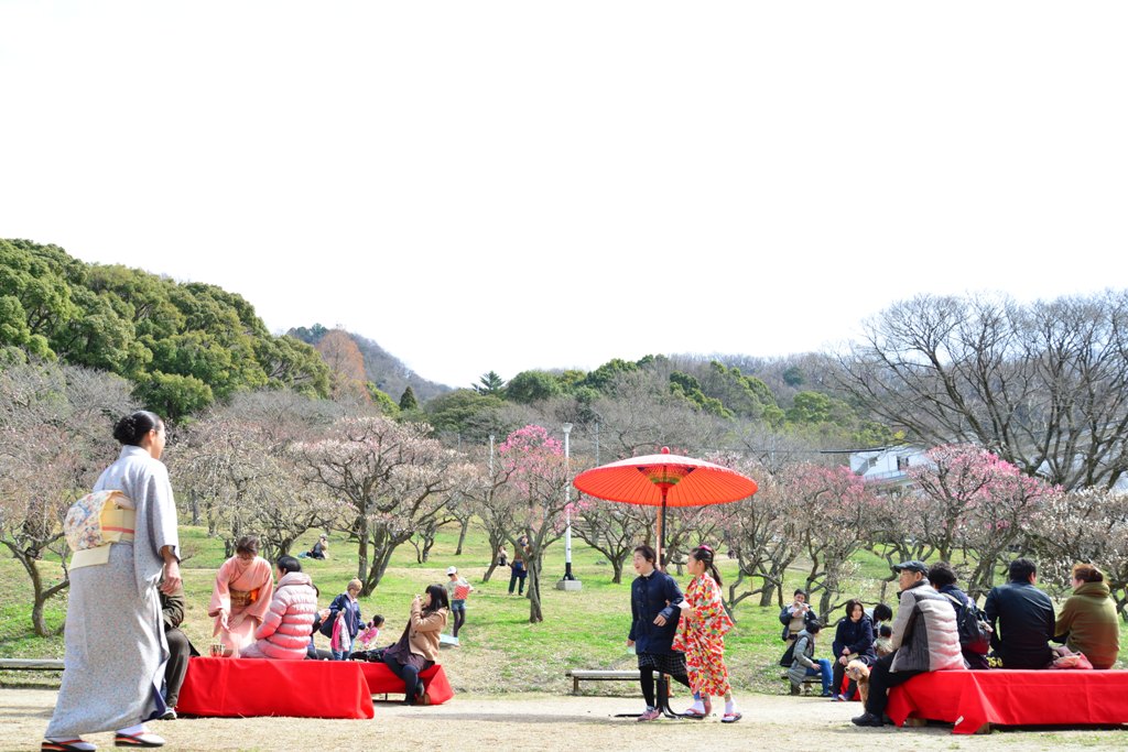 枚岡梅林を楽しむ市民らの写真