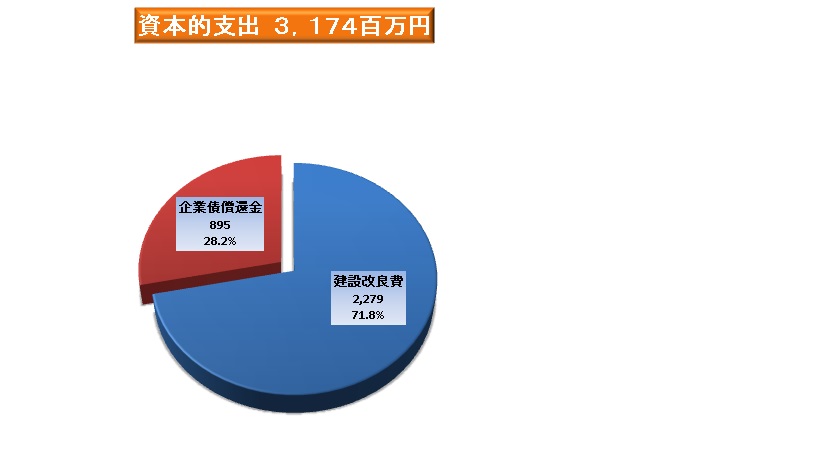 資本的支出