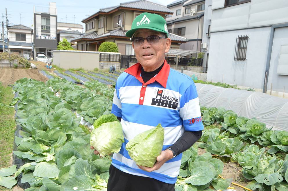 ラグビーキャベツを持つ松原さんの写真