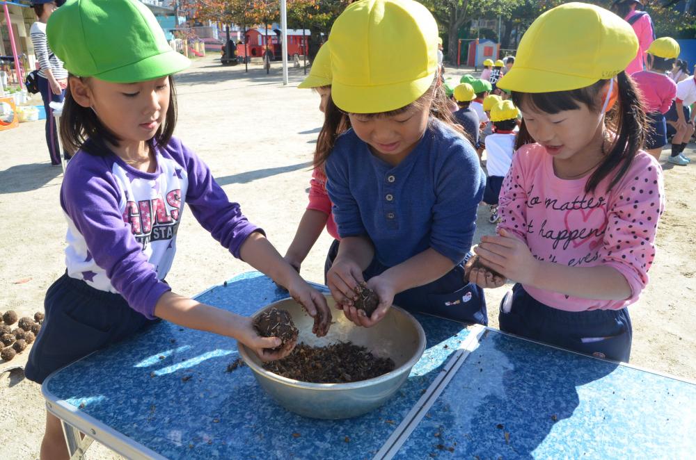 枚岡幼稚園で種団子づくりの様子