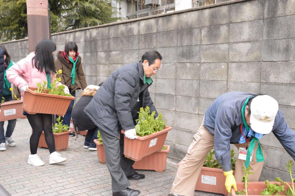 近鉄河内小阪駅・八戸ノ里駅周辺の菜の花設置