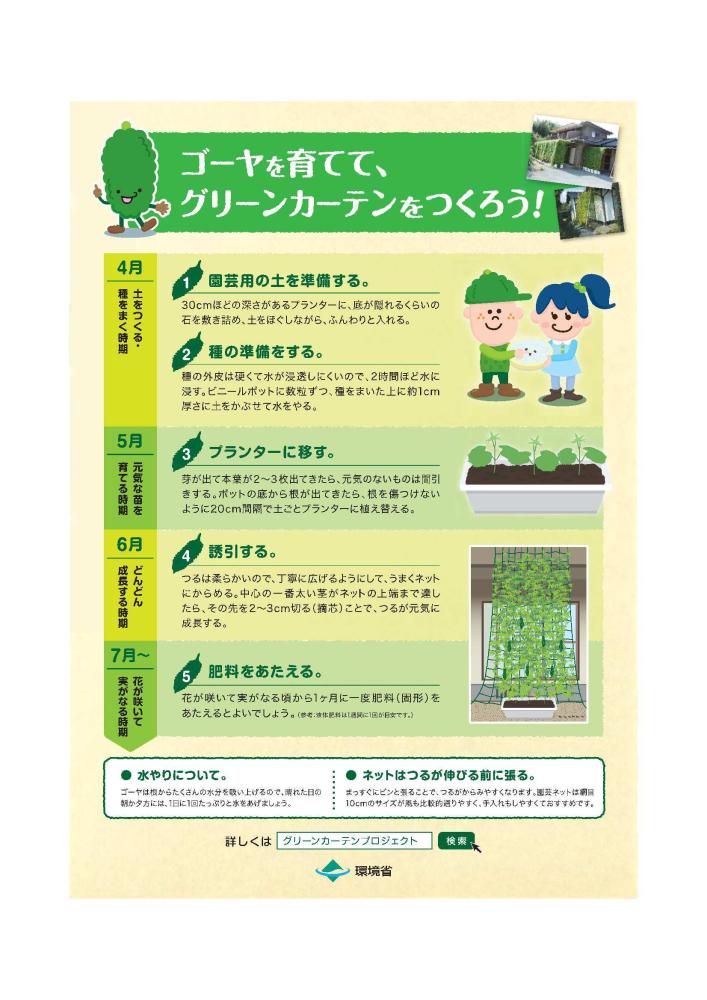 環境省　ゴーヤの育て方(裏)