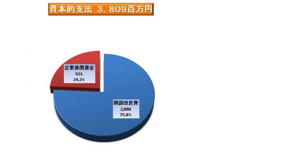 資本的支出