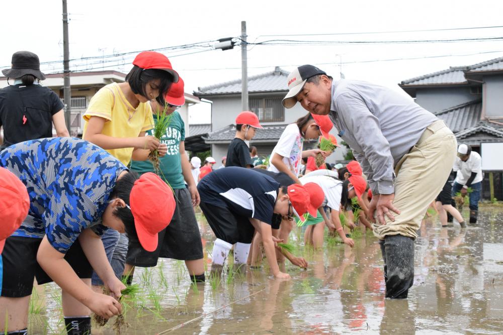 指導を受けながら田植えを行う児童