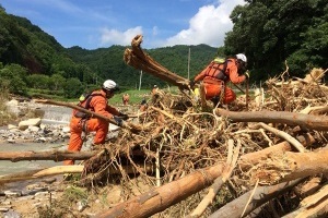 流木の中を検索する中救助隊