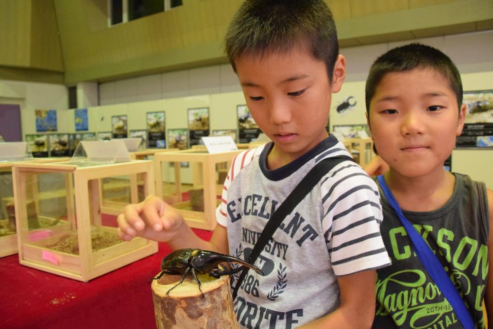 カブトムシを手にする子ども