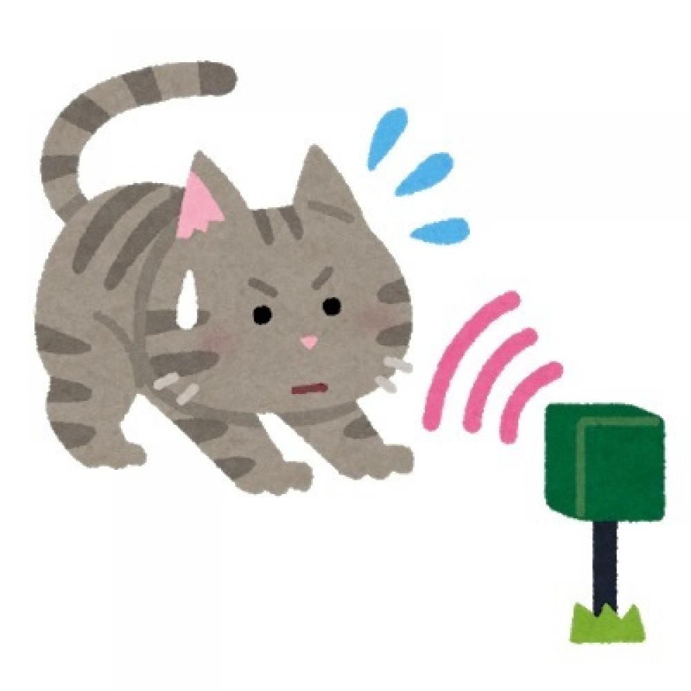猫と超音波回避機の画像です。