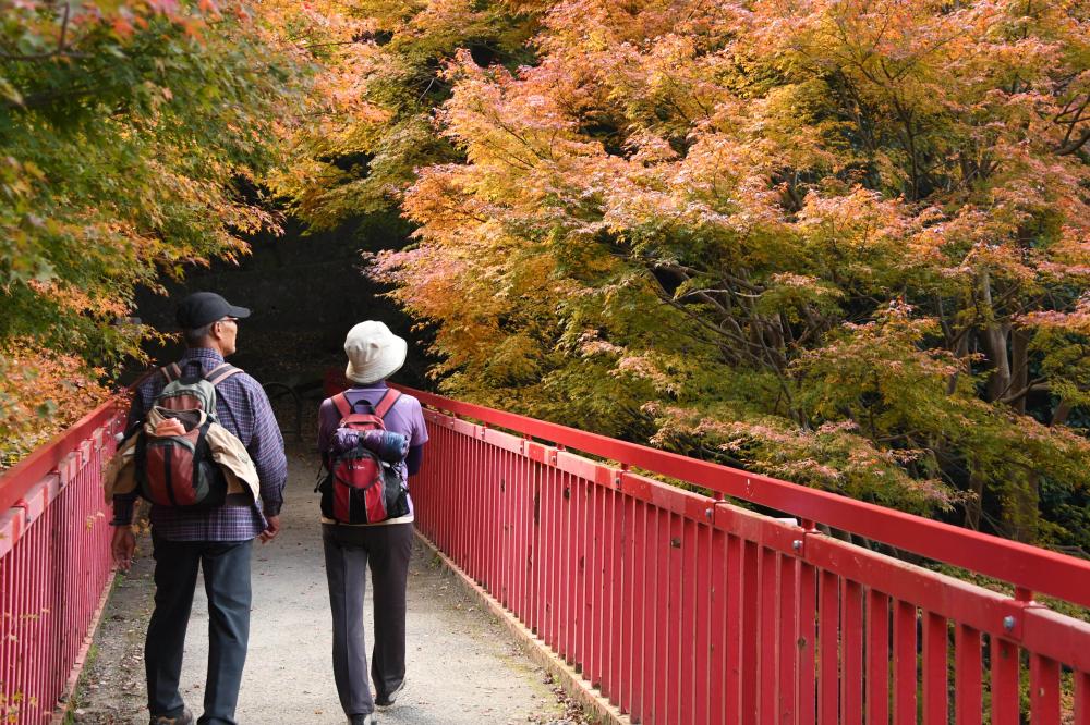 豊浦橋付近の公園