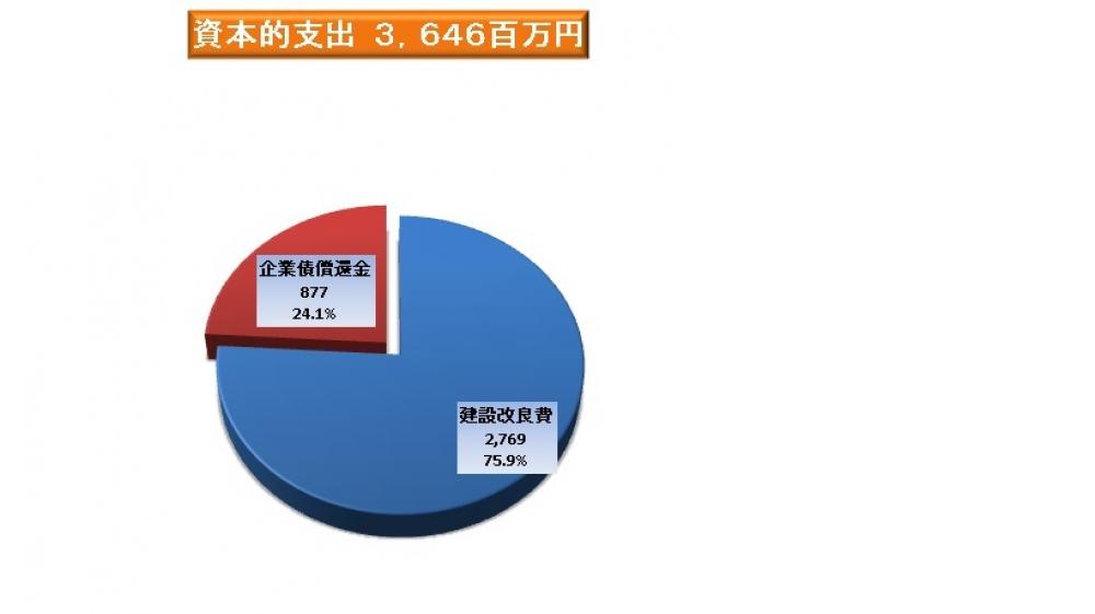 資本的支出