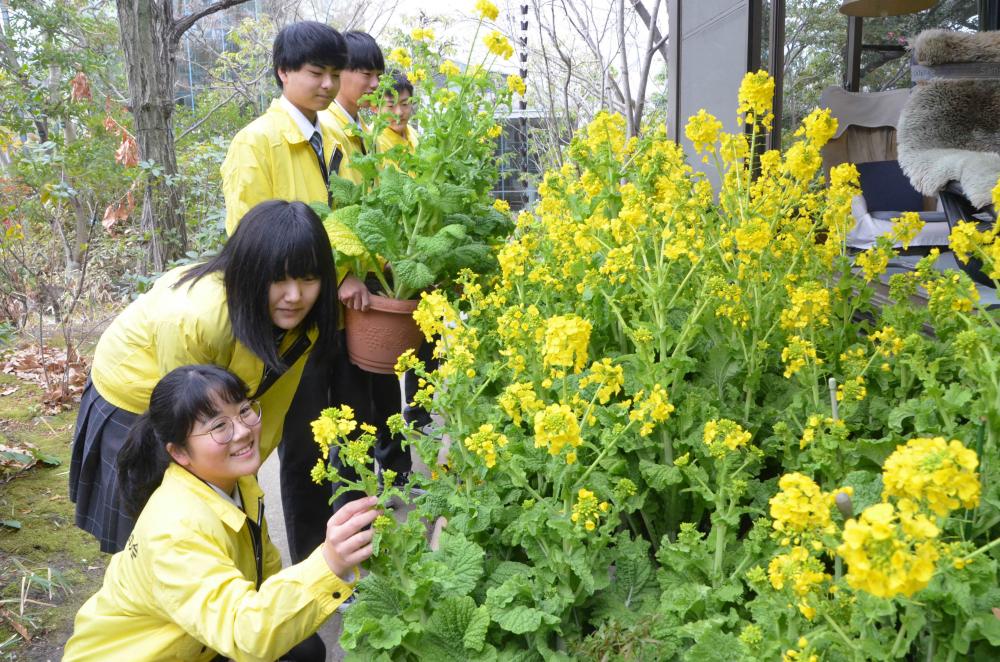 司馬遼太郎記念の前