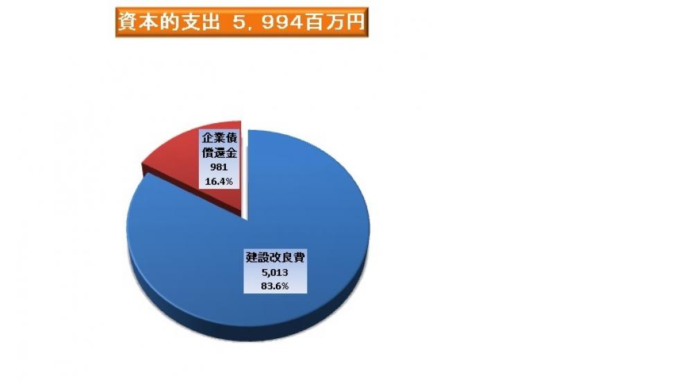 資本的支出