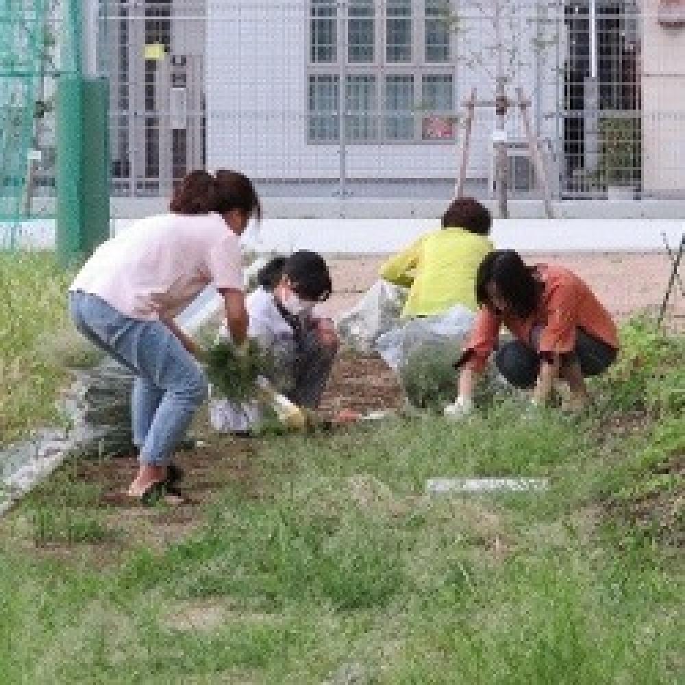 植え付けに向け作業中