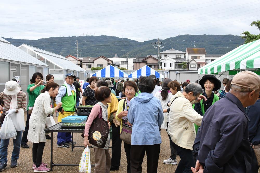 会場の様子