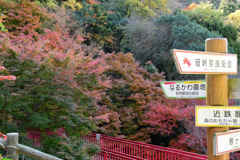 枚岡公園の様子