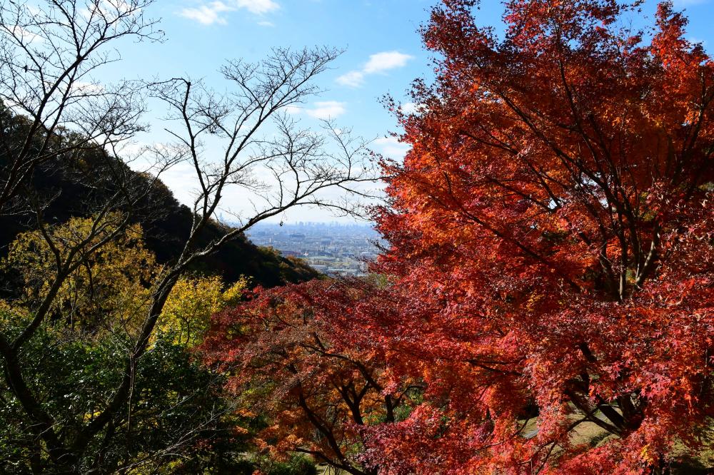 晴れ間ののぞく山間部