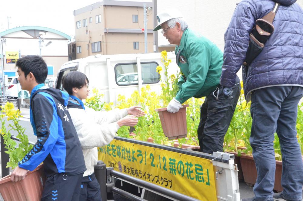 菜の花を運ぶ様子