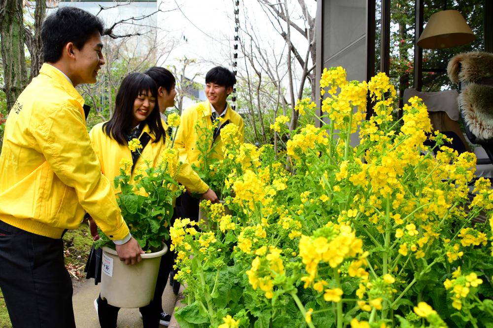 学生が設置する様子