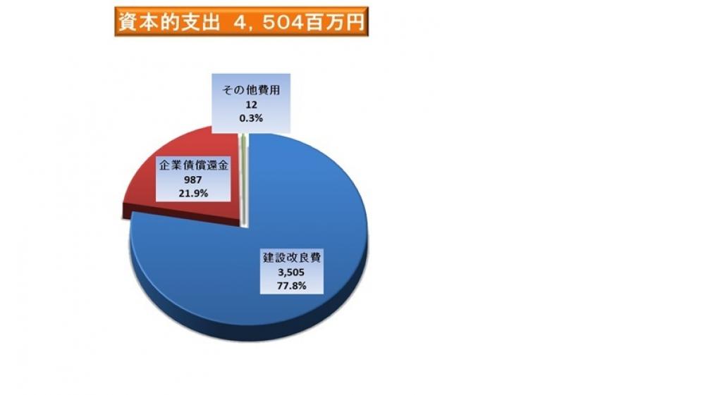 資本的支出