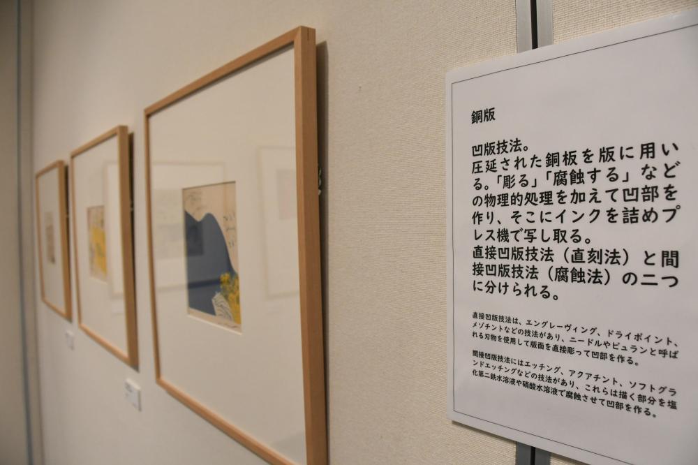 展示物とその説明